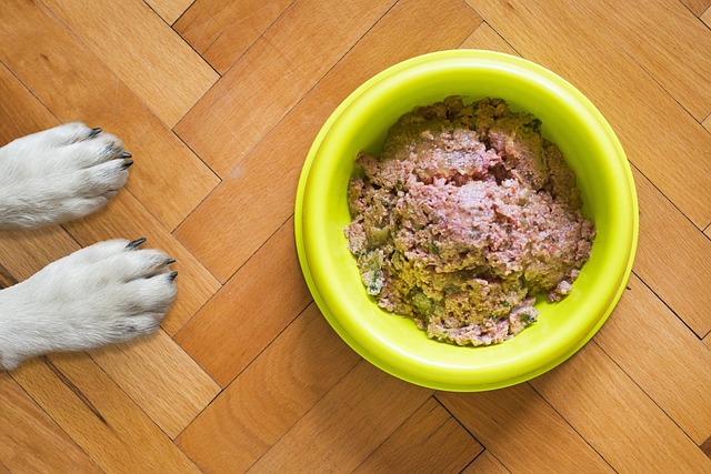 Hvad er godt foder og loppemiddel til hunde?